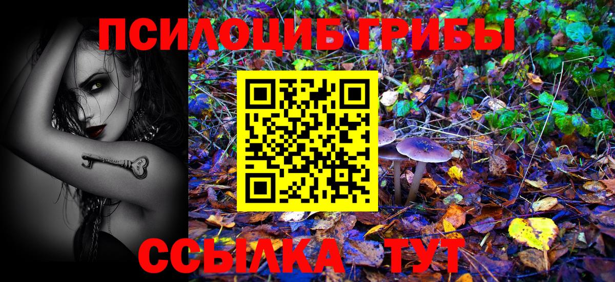 Галлюциногенные грибы MAGIC MUSHROOMS  Псилоцибиновые грибы MAGIC MUSHROOMS  Вход с VPN  наркота  Михайловск 